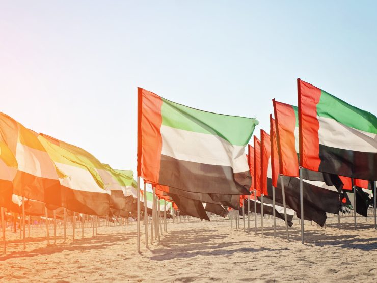 cegalapitas-dubai-freezone-001