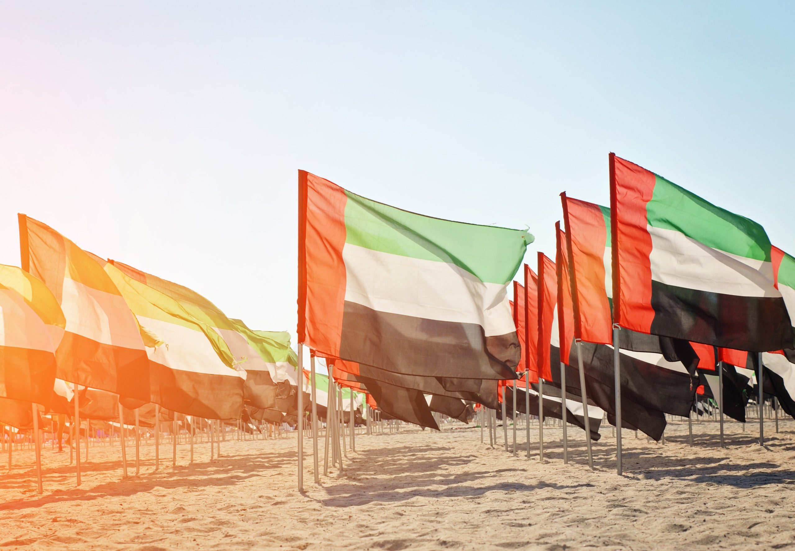cegalapitas-dubai-freezone-001